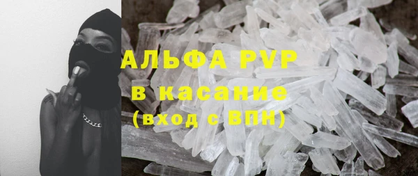 хмурый Няндома