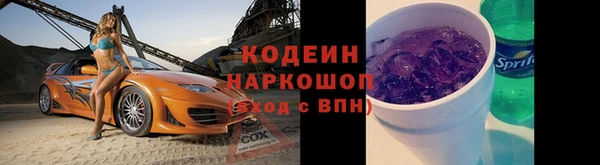 хмурый Няндома