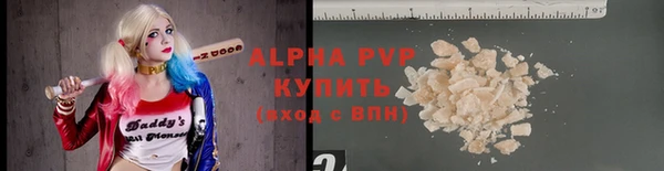 хмурый Няндома