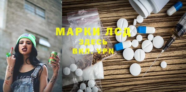 хмурый Няндома