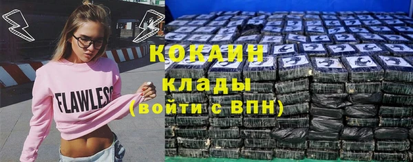 хмурый Няндома