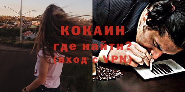 хмурый Няндома