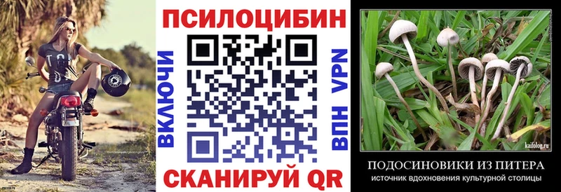 дарнет шоп  Скопин  Галлюциногенные грибы MAGIC MUSHROOMS 