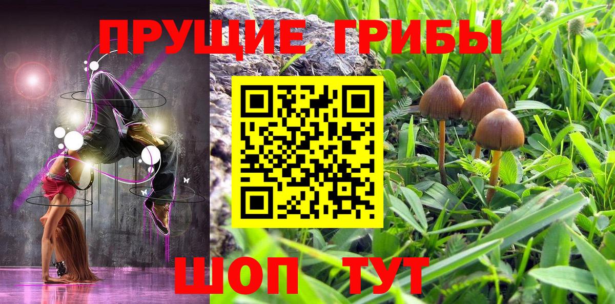 Галлюциногенные грибы мицелий Скопин